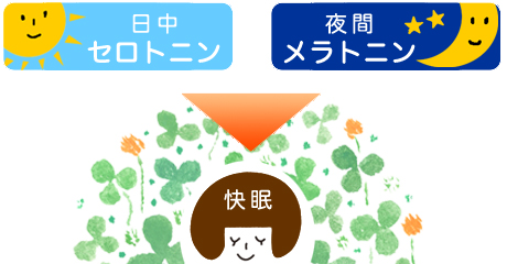 眠い 禁酒 いくら寝ても眠い？眠れない？ 禁酒・断酒で睡眠はどう変わる？