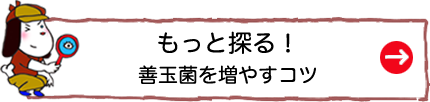 もっと探る！善玉菌を増やすコツ