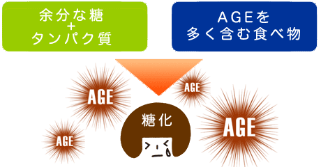 糖化とは